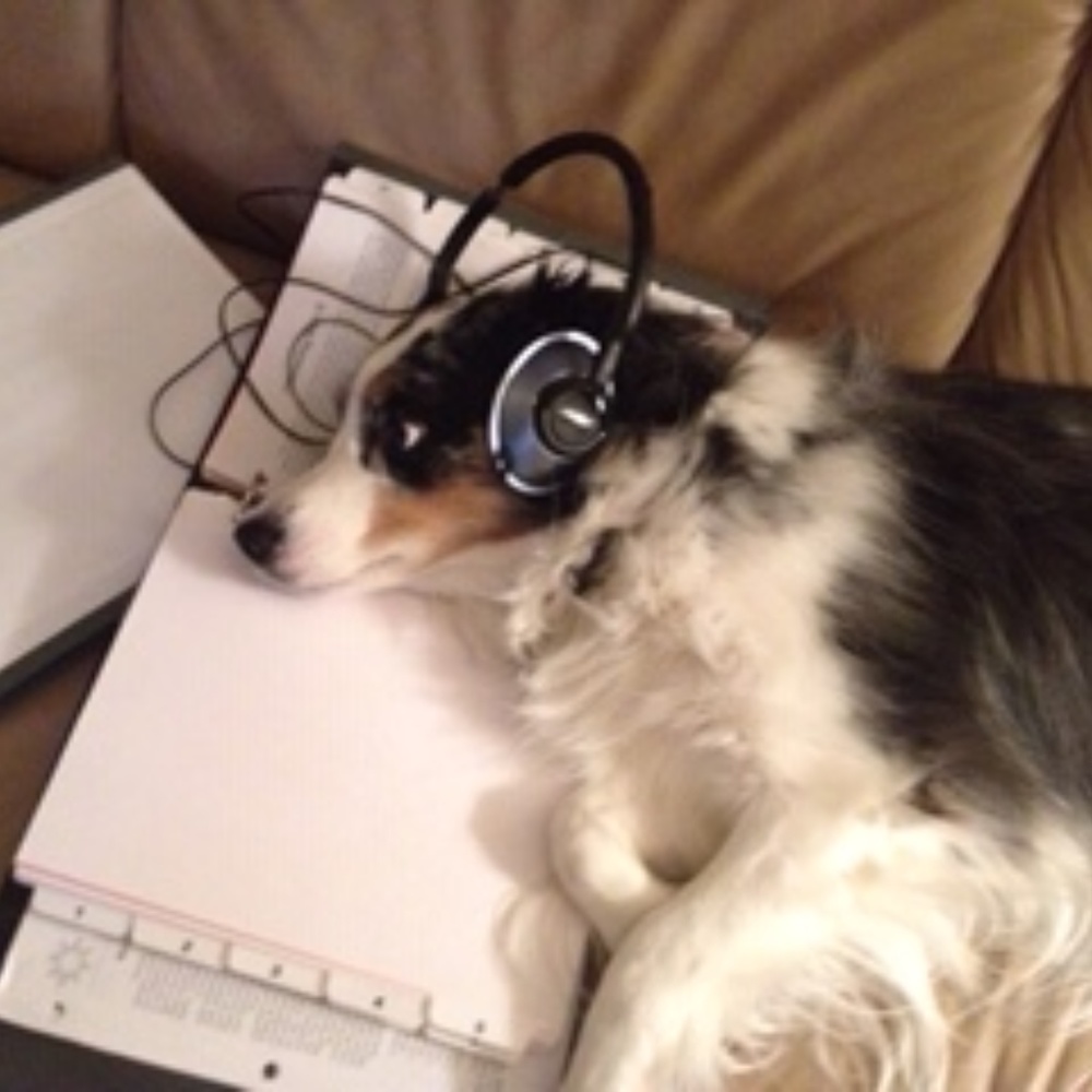 Meet your Posher, Jackie